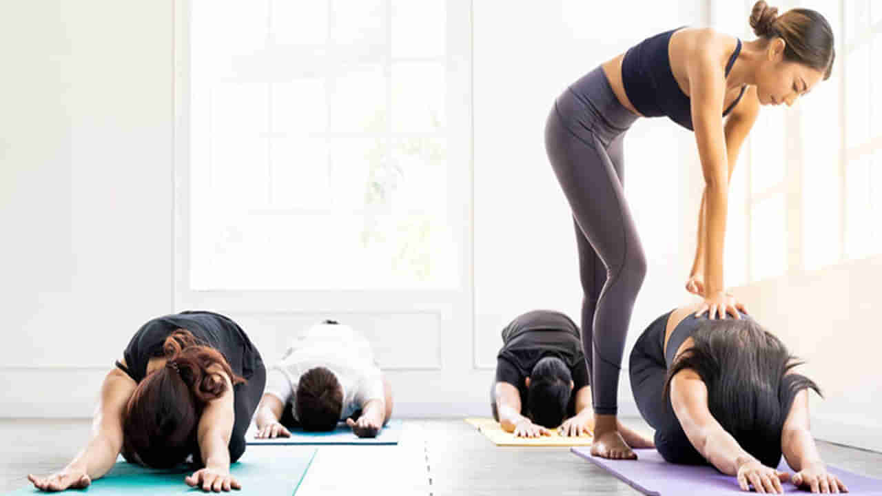 Yoga Career Guide: యోగాని కెరీర్ గా ఎలా ఎంచుకోవాలి? ఎన్ని కోర్సులు ఉన్నాయి? ఎక్కడ చదవాలి? ఉద్యోగ అవకాశాలు, జీతం తెలుసుకోండి