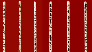 Viral Video: ఉబ్బిన పొట్టతో దూరంగా కనిపించిన కొండచిలువ.. అనుమానమొచ్చి కోసి చూడగా