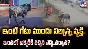 ఇంటి గేటు ముందు నిల్చున్న వ్యక్తి..ఇంతలో అక్కడికి వచ్చిన ఎద్దు.. ఇంటి గేటు ముందు నిల్చున్న వ్యక్తి..ఇంతలో అక్కడికి వచ్చిన ఎద్దు..