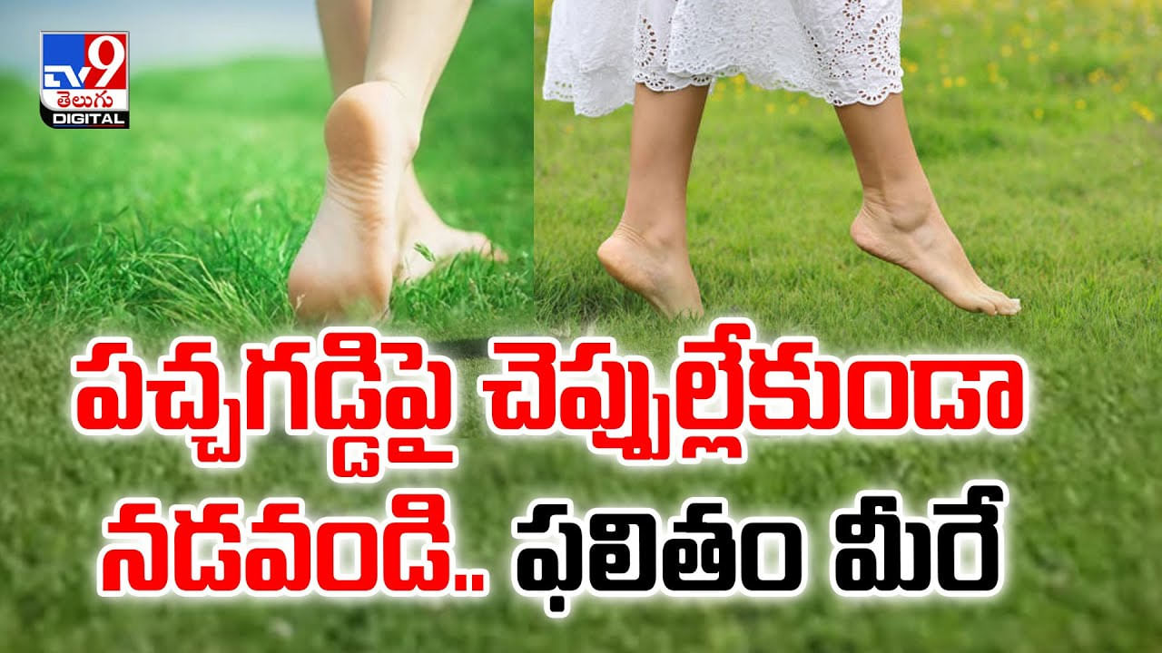 పచ్చగడ్డిపై చెప్పుల్లేకుండా నడవండి.. ఫలితం మీరే చూడండి వీడియో