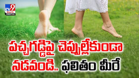 పచ్చగడ్డిపై చెప్పుల్లేకుండా నడవండి.. ఫలితం మీరే చూడండి వీడియో పచ్చగడ్డిపై చెప్పుల్లేకుండా నడవండి.. ఫలితం మీరే చూడండి వీడియో