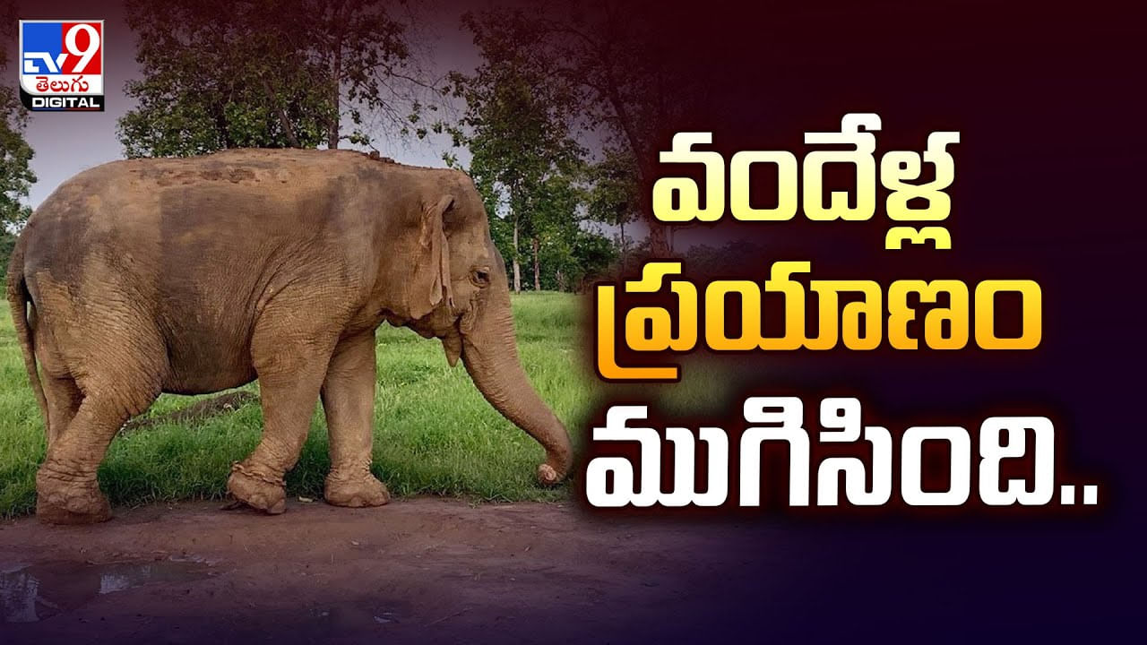 వందేళ్ల ప్రయాణం ముగిసింది.. వైరల్ వీడియో