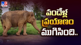 వందేళ్ల ప్రయాణం ముగిసింది.. వైరల్ వీడియో వందేళ్ల ప్రయాణం ముగిసింది.. వైరల్ వీడియో