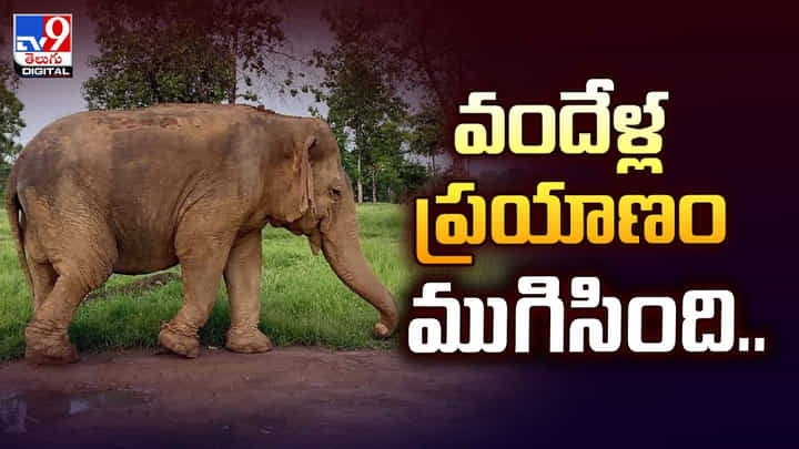 వందేళ్ల ప్రయాణం ముగిసింది.. వైరల్ వీడియో వందేళ్ల ప్రయాణం ముగిసింది.. వైరల్ వీడియో