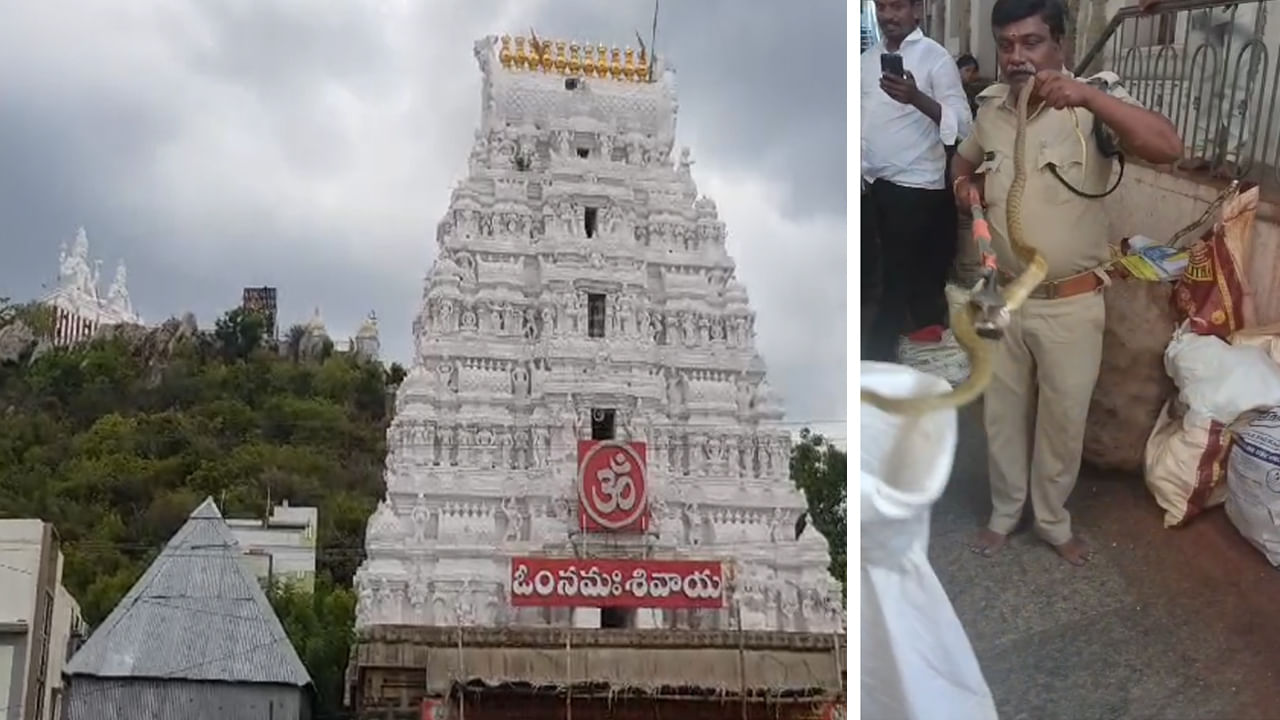 ఆంధ్రప్రదేశ్