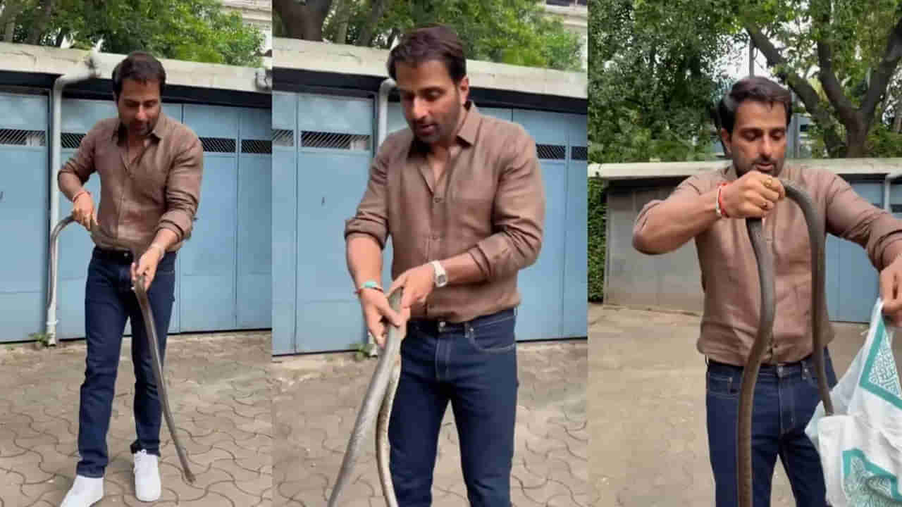 Sonu Sood: సోనూసూద్ ఇంటి ఆవరణలోకి పాము.. రియల్ హీరో ఏం చేశాడో తెలుసా? వీడియో చూస్తే ఒళ్లు జలదరిస్తుంది