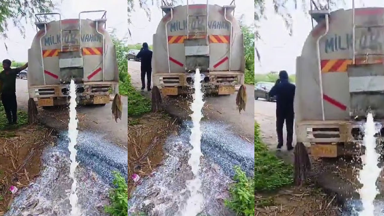 5 వేల లీటర్ల పాలు.. నేలపాలు! పిచ్చి పని కాదు.. అసలు మ్యాటర్ తెలిస్తే షాక్ అవుతారు..