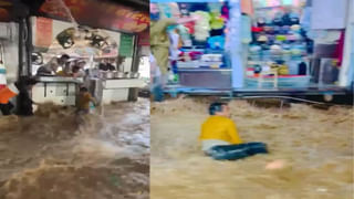 Viral Video: అమ్మ బాబోయ్ – పామును కరకరా నమిలి తినేసిన మరో పాము