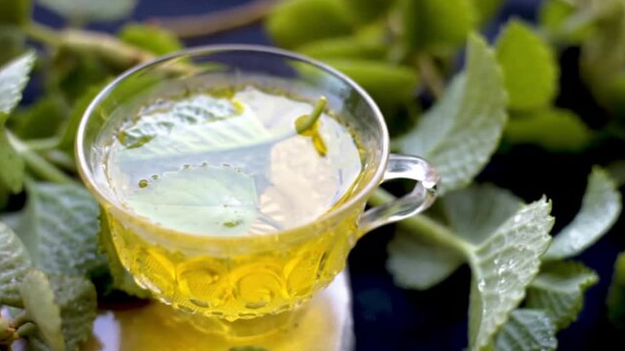 వాము ఆకులో విటమిన్ సి, యాంటీ ఆక్సిడెంట్స్, ప్రోటీన్స్ తదితర ఖనిజాలు శరీరానికి ఎంతో మేలు చేస్తాయి. వాము ఆకు సీజనల్గా వచ్చే జలుబు, దగ్గు సమస్యలను దూరం చేస్తుంది.