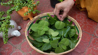 Menopause: మెనోపాజ్ సమస్యను ఎదుర్కోవడం ఎలా.? కొన్ని చిట్కాలతో ఉపశమనం..