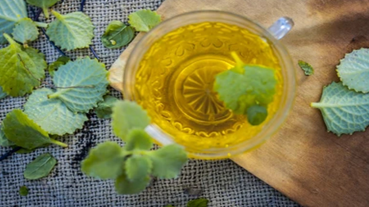 అధిక రక్తపోటు సమస్య వున్నవారు వాము ఆకు తింటే బీపీ అదుపులో వుంటుంది.రక్తంలో చెడు కొలెస్ట్రాల్ ఉన్నవారు వాము ఆకును తీసుకుంటే కొవ్వు తగ్గుతుంది. డయాబెటిస్ ఉన్నవారికి కూడా వాము కూడా మంచి ఔషధంగా పనిచేస్తుందని నిపుణులు చెబుతున్నారు. వాము డికాషన్ను తాగితే వ్యాధి నుండి ఉపశమనం లభిస్తుంది.