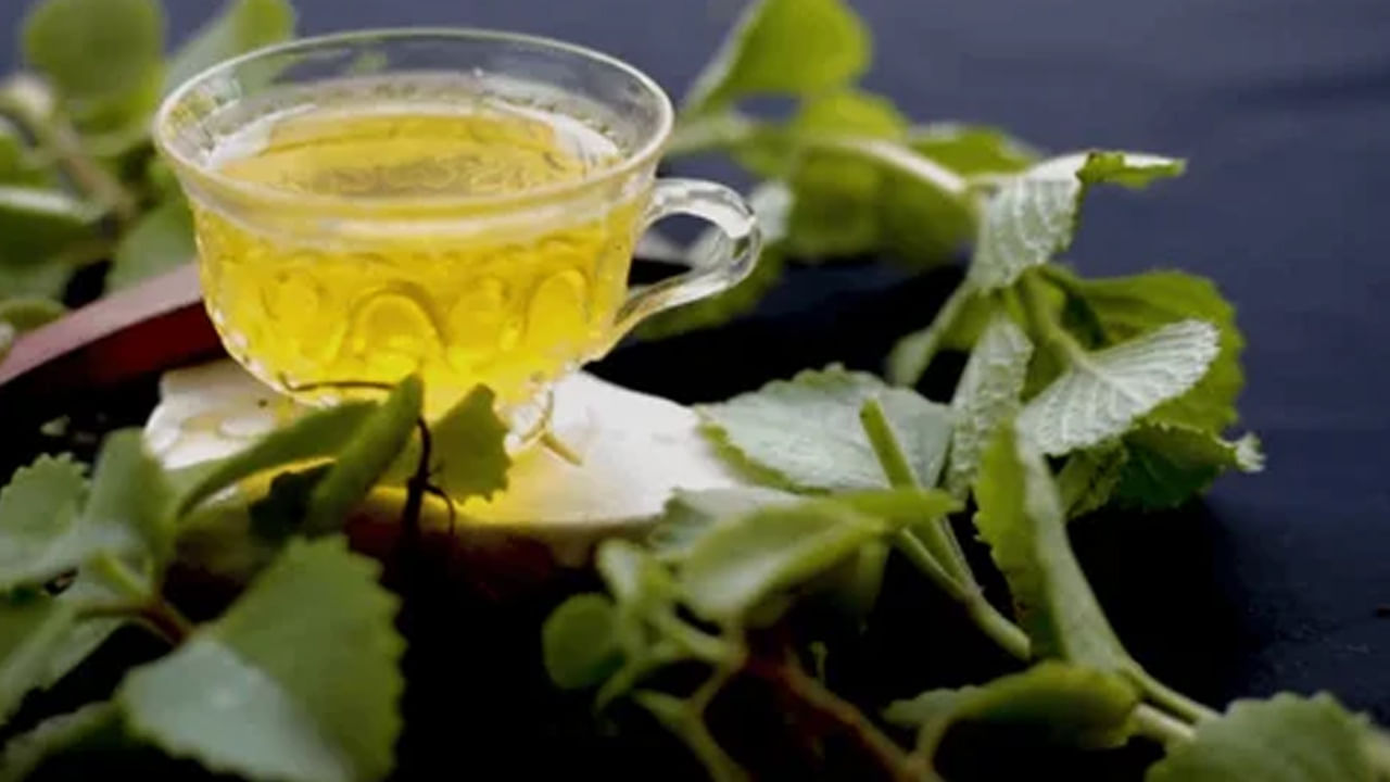 కొందరు మహిళలు పీరియడ్స్ సమయంలో ఎక్కువ నొప్పితో ఇబ్బందిపడుతుంటారు. అలాంటి వారిలో సమస్యల్ని తగ్గించడంలో వాము ఆకులు మంచి నివారిణిగా పనిచేస్తుందని నిపుణులు చెబుతున్నారు.