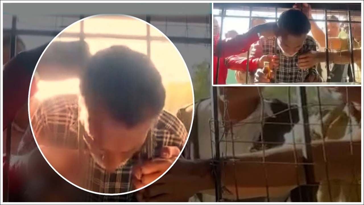Viral Video: మందు మహత్యం..! దర్జాగా వైన్స్కు వెళ్ళాడు.. దెబ్బకు ఉక్కిరిబిక్కిరి అయ్యాడు.. అసలేం జరిగిందంటే.. Viral Video: మందు మహత్యం..! దర్జాగా వైన్స్కు వెళ్ళాడు.. దెబ్బకు ఉక్కిరిబిక్కిరి అయ్యాడు.. అసలేం జరిగిందంటే..