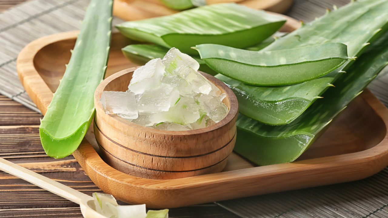 Aleovera
