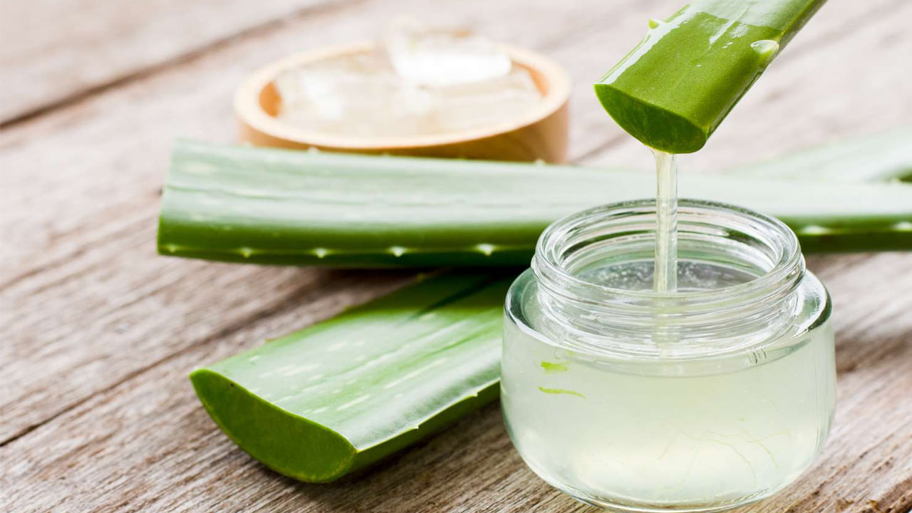 Aloe Vera Benefits: వర్షా కాలంలో కలబంద తీసుకోవడం వల్ల ఎన్ని ప్రయోజనాలో.. మీకు తెలుసా?