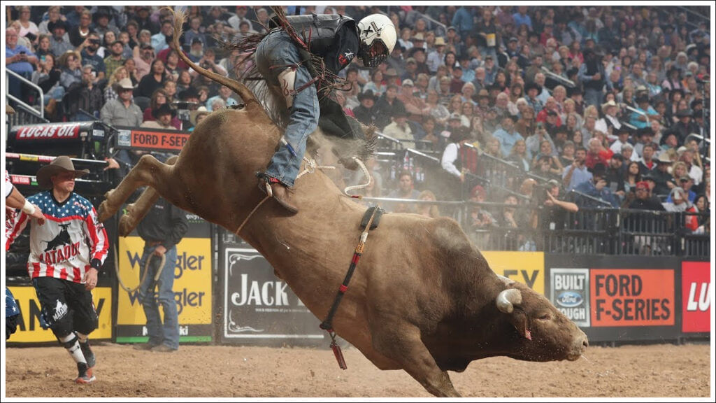 American Bull Riding
