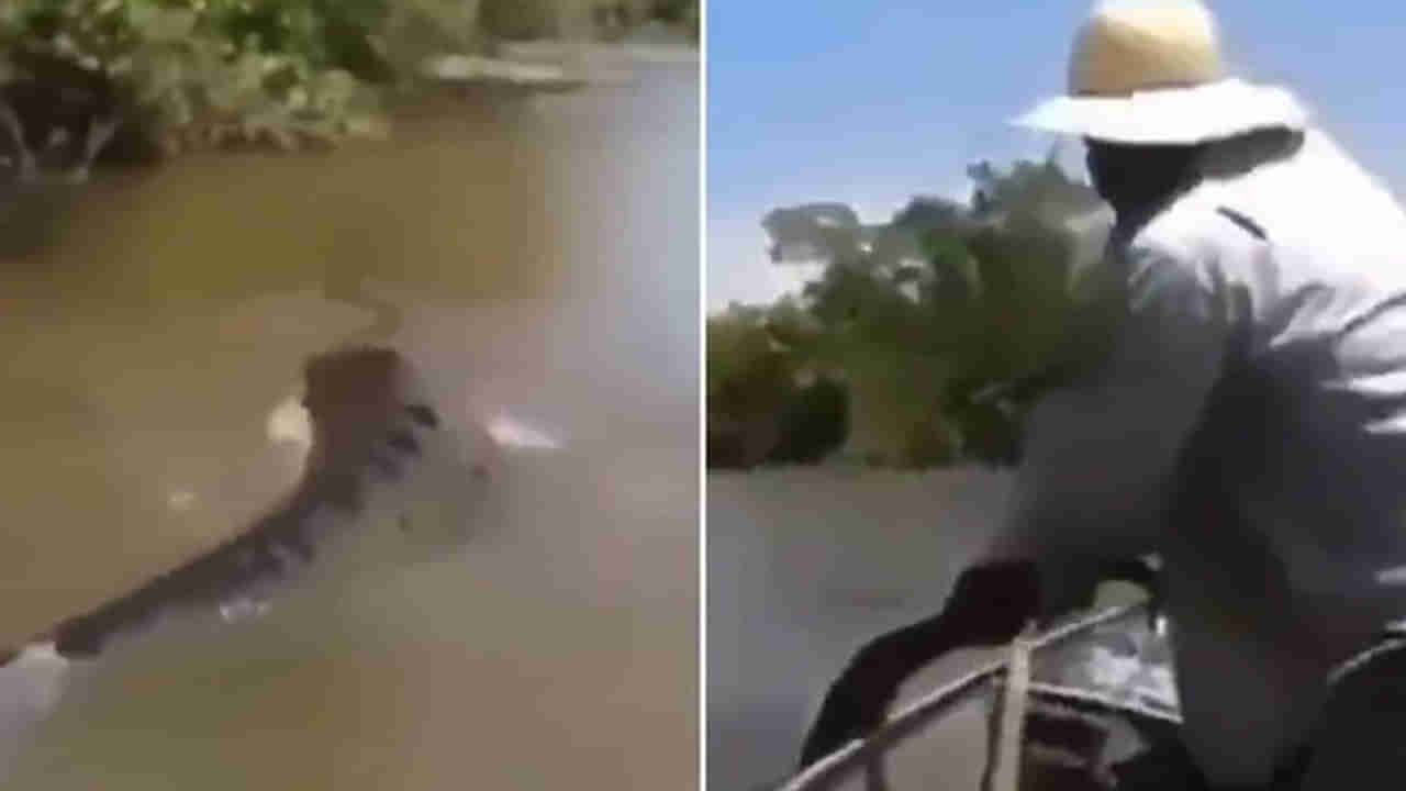 Viral Video: చేపలు పడుతుండగా జలార్పై దూసుకొచ్చిన అనకొండ.. భయపడకుండా ఏం చేశాడంటే..