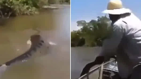 Viral Video: చేపలు పడుతుండగా జలార్పై దూసుకొచ్చిన అనకొండ.. భయపడకుండా ఏం చేశాడంటే..