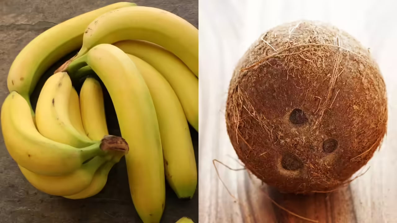 Anana And Coconut4