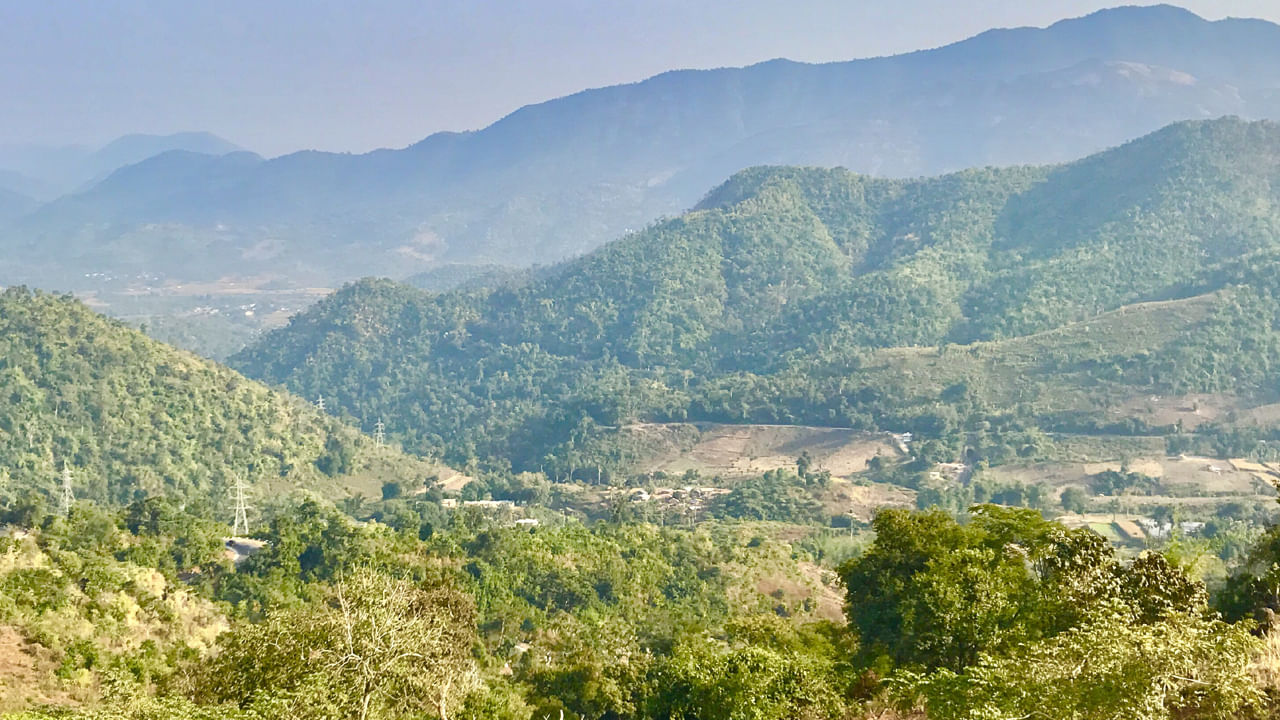 అనంతగిరి కొండలపై మానవాళికి ఉపయోగపడే ఎన్నో రకాల ఔషధ గుణాలు కలిగిన మొక్కలు సహజ సిద్ధంగా పెరుగుతున్నాయి. వీటి సంరక్షణకు ఫారెస్టు అధికారులు ప్రత్యేక చర్యలు చేపట్టారు. అనంతగిరికి వచ్చే దారిలో 1200 ఎకరాల విస్తీర్ణంలో ఔషధ వనాన్ని నిర్మించారు. సుమారు 30 రకాల ఔషధ మొక్కలను అక్కడ ప్రత్యేకించి నాటారు.