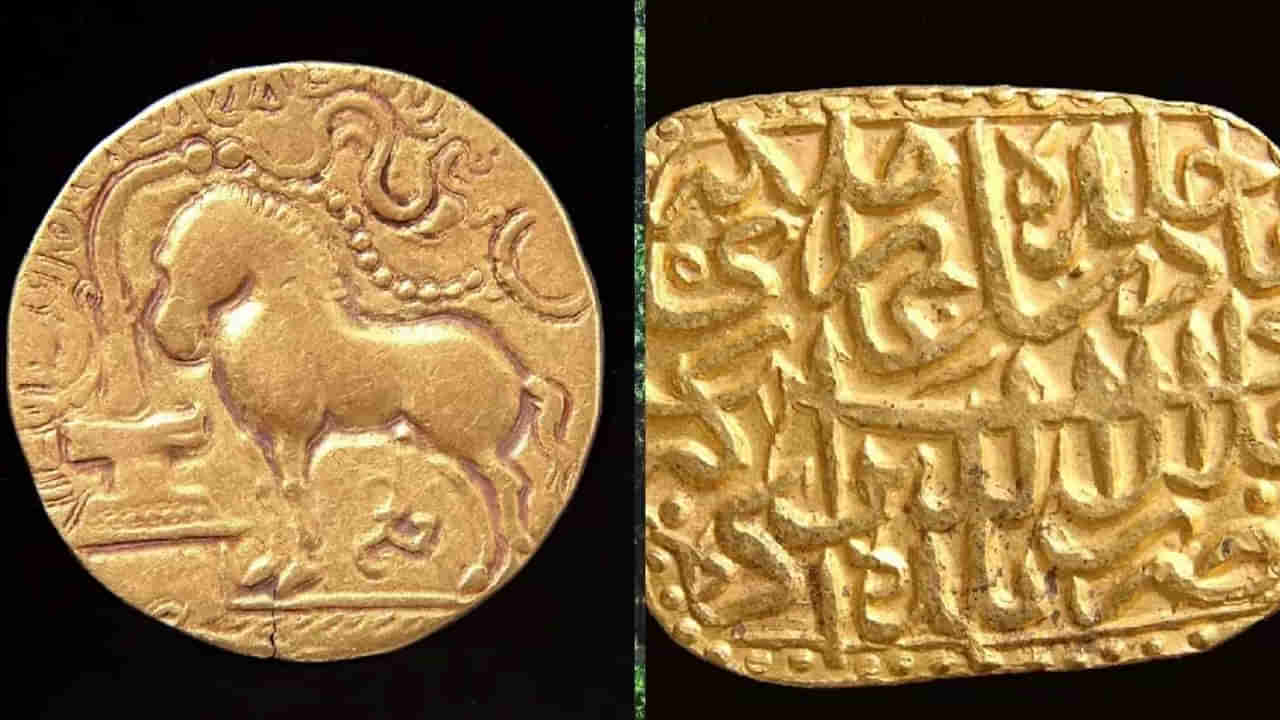 Viral: గొర్రెల మేపుతుండగా కాపరులకు మెరుస్తూ కనిపించాయ్ - ఏంటా అని చూడగా..