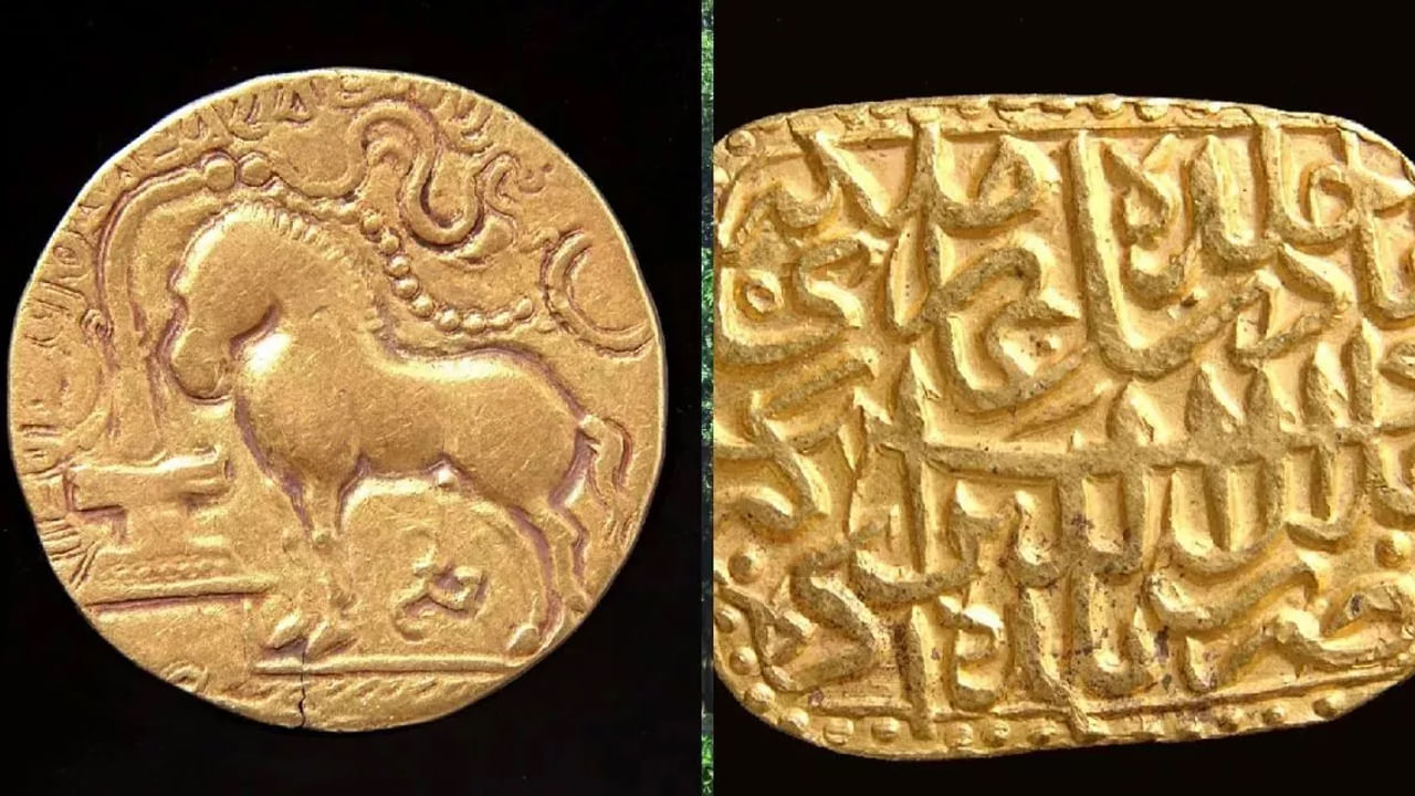 Viral: గొర్రెల మేపుతుండగా కాపరులకు మెరుస్తూ కనిపించాయ్ - ఏంటా అని చూడగా..