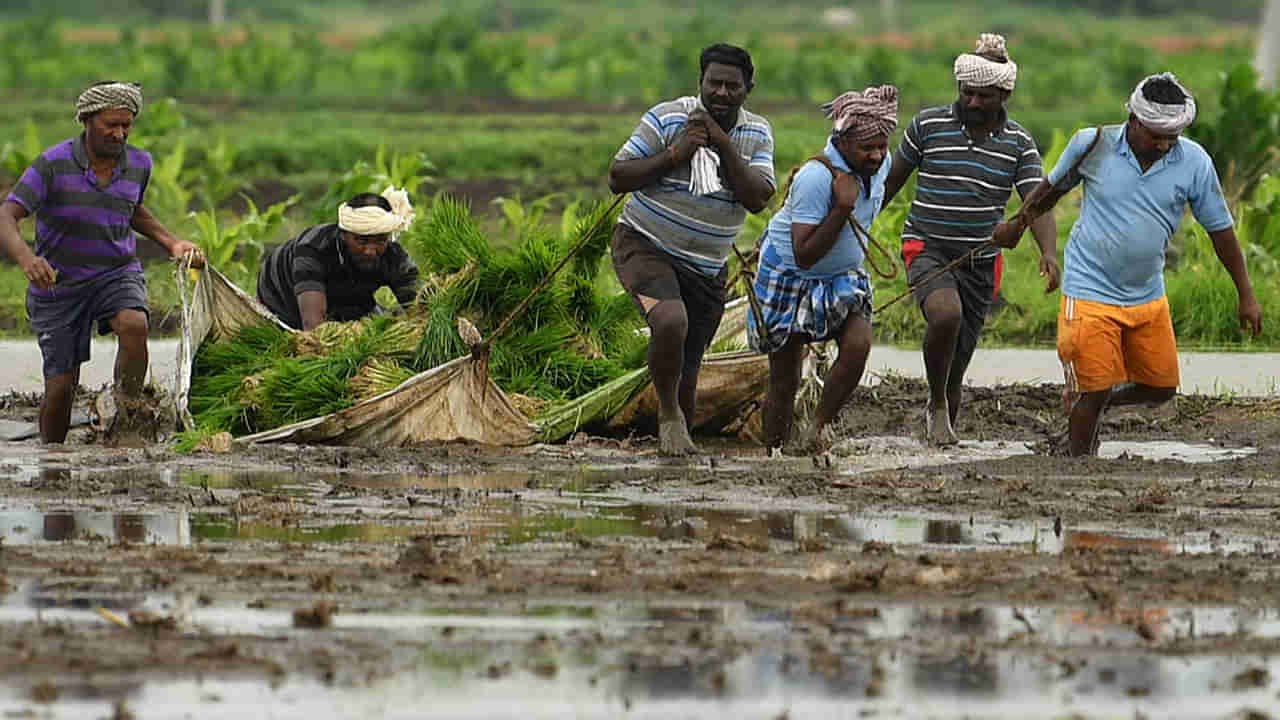 Andhra: ఏపీ రైతులకు బంగారం లాంటి వార్త చెప్పిన ప్రభుత్వం.. ఆ వడ్డీ మాఫీ