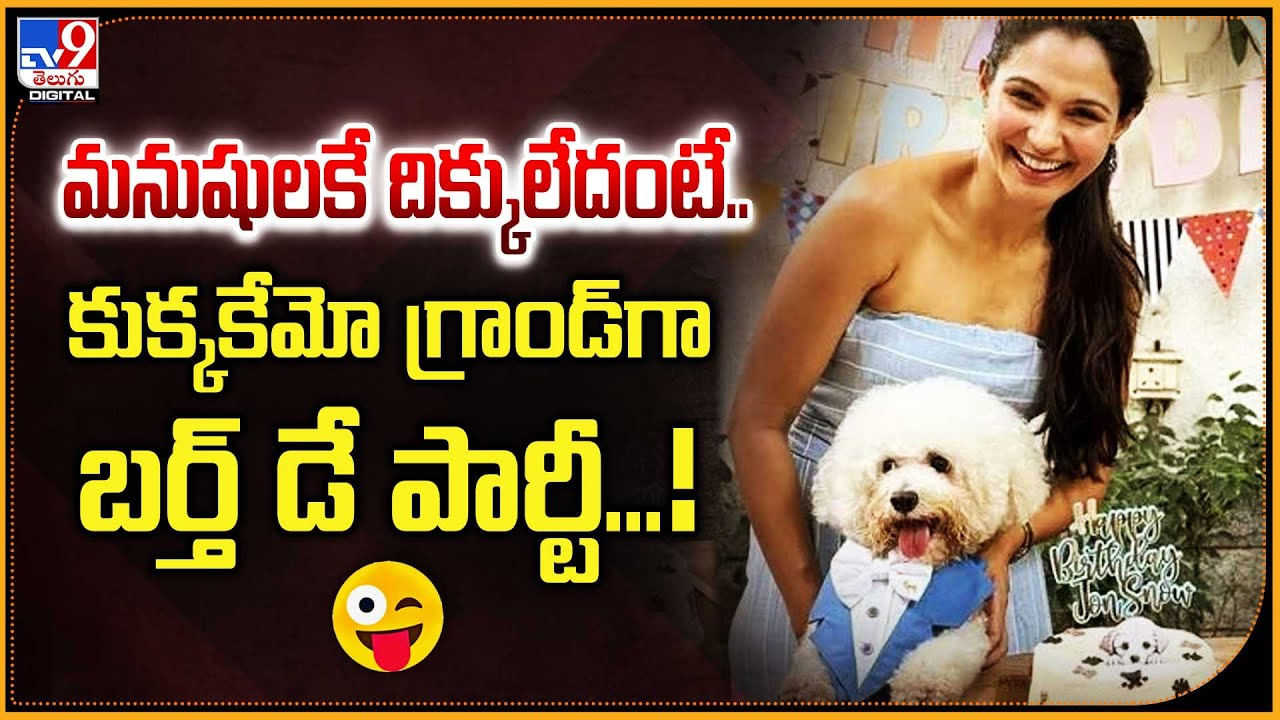 మనుషులకే దిక్కులేదంటే.. కుక్కకేమో గ్రాండ్‌గా బర్త్‌ డే పార్టీ...!
