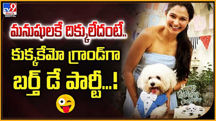 మనుషులకే దిక్కులేదంటే.. కుక్కకేమో గ్రాండ్గా బర్త్ డే పార్టీ...! మనుషులకే దిక్కులేదంటే.. కుక్కకేమో గ్రాండ్గా బర్త్ డే పార్టీ...!