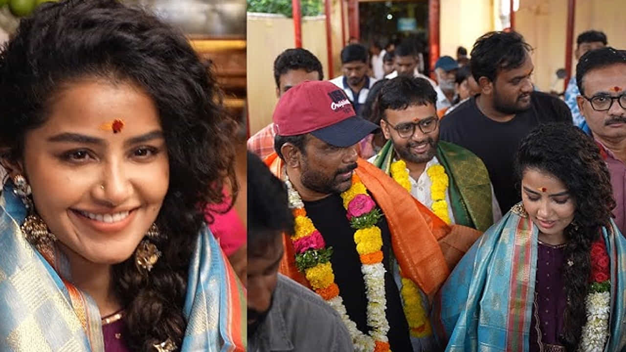  పరదా సినిమాలో అనుపమ పరమేశ్వరన్ తో పాటు నటి సంగీత, దర్శన రాజేంద్రన్‌, రాగ్ మయూర్‌ తదితరులు కీలకపాత్రలు పోషించారు. ఇప్పటికీ రిలీజైన టీజర్,సాంగ్, ఫస్ట్ లుక్ పోస్టర్స్ ఈ సినిమాపై అంచనాలు పెంచాయి. 
