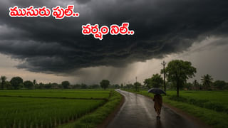 AP: రెండు రోజులుగా ఆకలితో అలమటించి చిన్నారి మృతి? సీఎం చంద్రబాబు ఆరా..