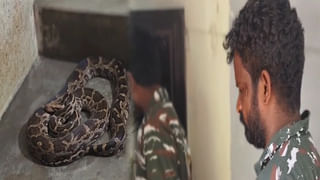 బ్యాంకులో దుర్గమ్మ బంగారం డిపాజిట్.. ఎన్ని కిలోలు.. విలువ ఎంతంటే..?