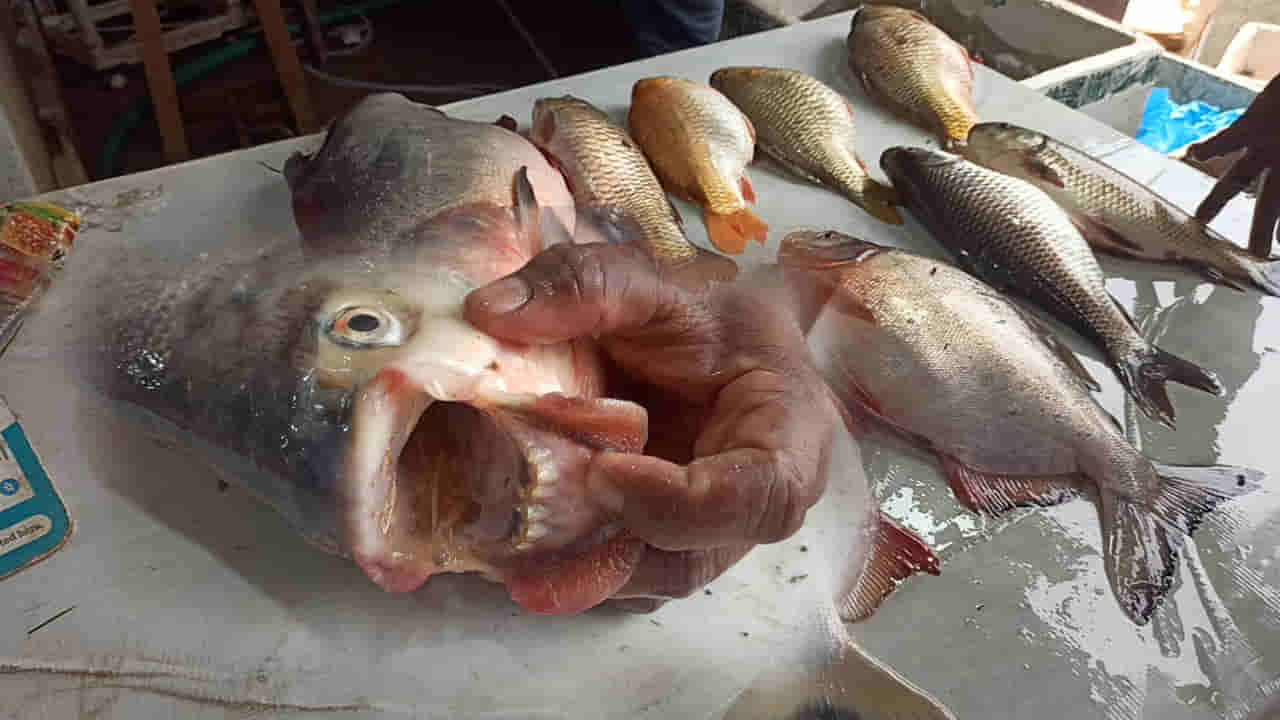 Eluru: ఓర్నాయనో.! మనిషి దంతాలతో దెయ్యం చేప.. పట్టుకున్నారో ఇక అంతే