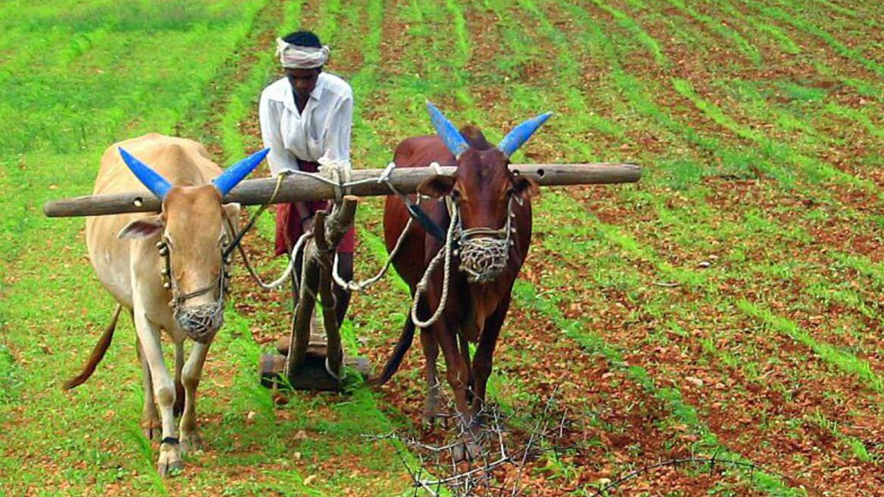 ఆంధ్రప్రదేశ్