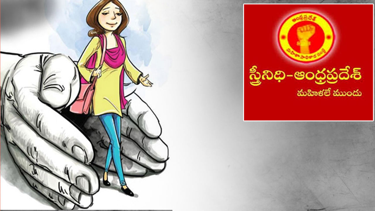 AP Stree Nidhi Jobs 2025: ఆంధ్రప్రదేశ్ స్త్రీనిధిలో ఉద్యోగాలకు నోటిఫికేషన్‌ విడుదల.. డిగ్రీ పాసైతే చాలు
