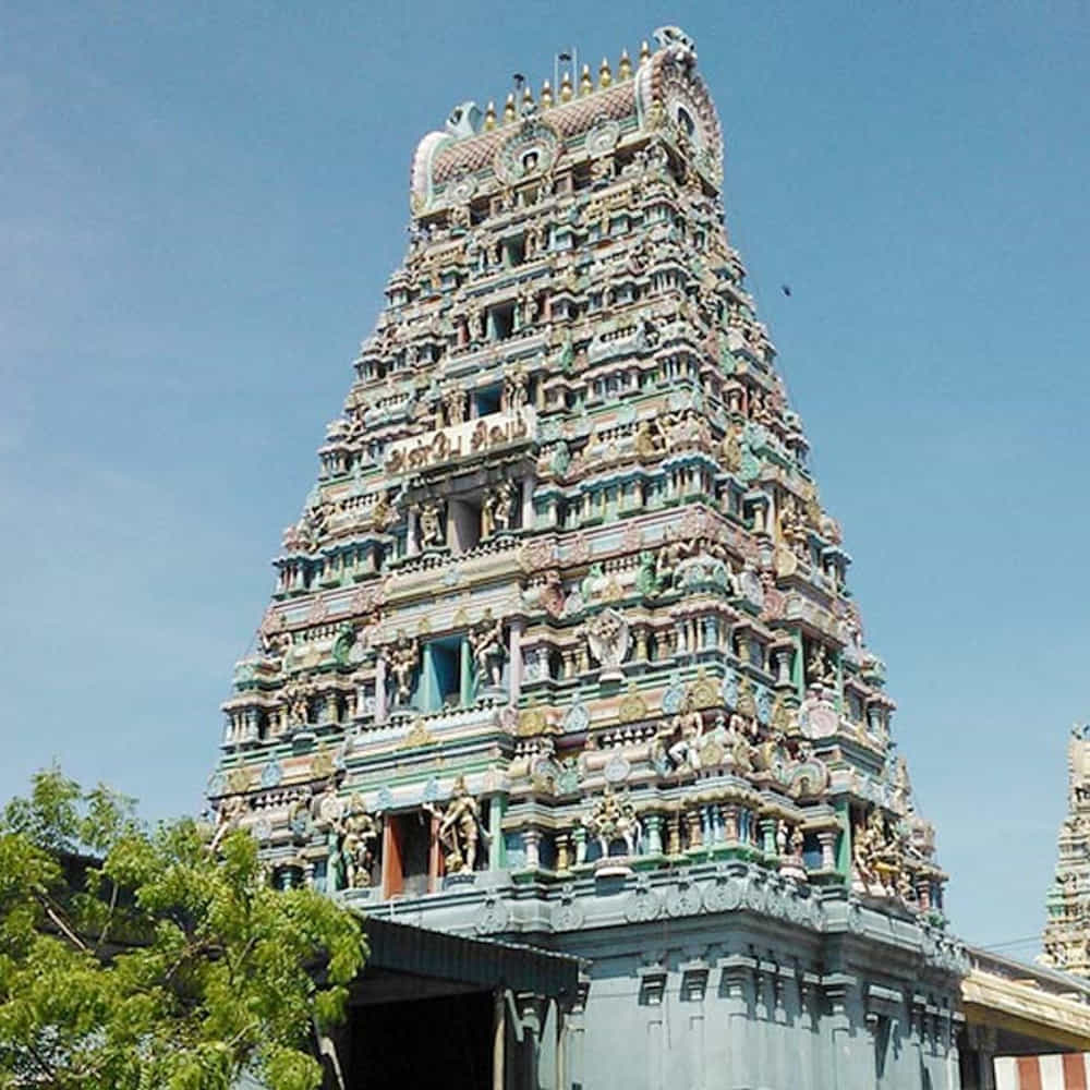 మరుందీశ్వరర్ ఆలయం: తిరువాన్మియూర్‌లో మరుండీశ్వరర్ ఆలయం ఉంది, ఇక్కడ ప్రజలు శివుడిని వ్యాధులను నయం చేసే దేవతగా పూజిస్తారు. వేద జ్యోతిష సంప్రదాయాల ప్రకారం శని మన అనారోగ్య సమస్యలతో పాటు.. కర్మ ఫలితాలను నిర్దేశిస్తాడు.