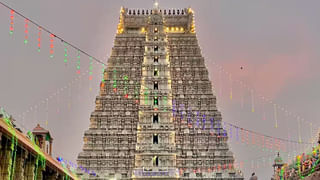 సూర్యాస్తమయం తర్వాత చెట్లపై చేతులు వేయకూడదు, పూలు కోయకూడదు..! ఎందుకంటే..