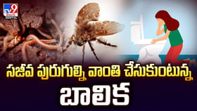 సజీవ పురుగుల్ని వాంతి చేసుకుంటున్న చైనా బాలిక వీడియో సజీవ పురుగుల్ని వాంతి చేసుకుంటున్న చైనా బాలిక వీడియో