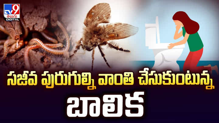 సజీవ పురుగుల్ని వాంతి చేసుకుంటున్న చైనా బాలిక వీడియో సజీవ పురుగుల్ని వాంతి చేసుకుంటున్న చైనా బాలిక వీడియో