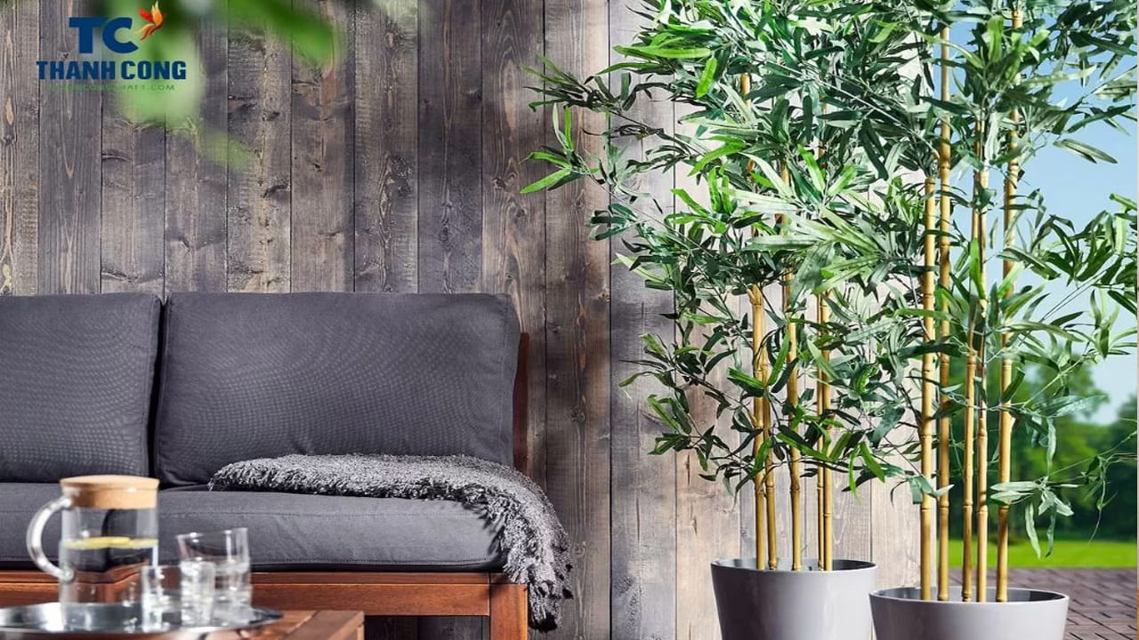 Bamboo Plant Vastu Tips3