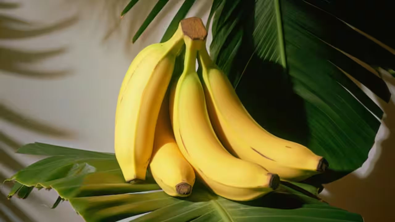 అందువలన రోజుకు ఒక అరటి పండు తింటే ఆ వ్యక్తి చాలా ఆరోగ్యంగా ఉంటారని చెబుతుంటారు.  అంతేకాకుండా బరువు పెరగాలి అనుకునే వారు రోజూ ఉదయం, సాయంత్రం సమయంలో ఒక అరటి పండు తినడం శరీరానికి చాలా మేలు చేస్తుందని దీని వలన త్వరగా బరుగు పెరగవచ్చు అంటారు. అంతే కాకుండా,  ఇది ఆరోగ్యానికి చాలా మంచిది.