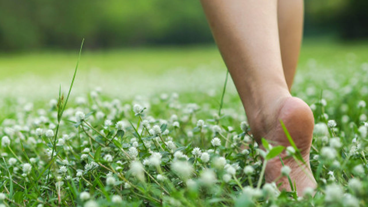 Barefoot walking: రోజూ చెప్పులు లేకుండా గడ్డిమీద నడిస్తే ఎన్ని ఆరోగ్య ప్రయోజనాలో తెలుసా..