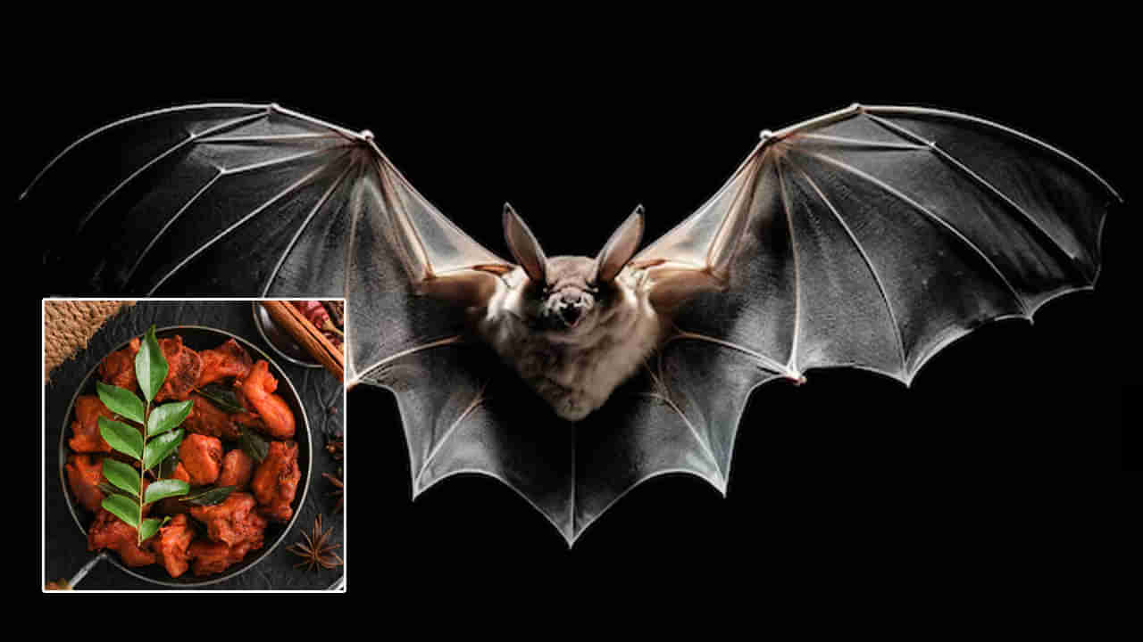 Bat Meat: ఛీ.. యాక్‌! గబ్బిలాలతో చిల్లీ చికెన్‌ అట.. జర చూసుకోండి!