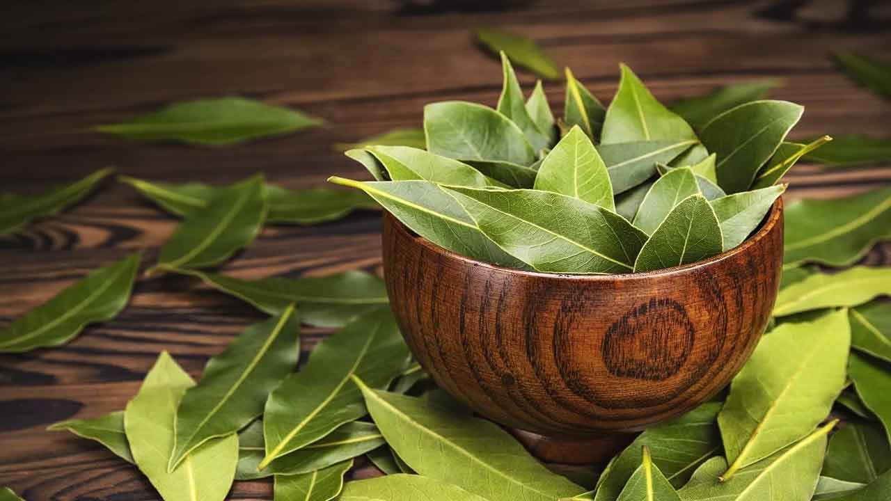 బిర్యానీ ఆకుల్లో యాంటి ఇన్‌ఫ్లమేటరీ లక్షణాలు ఉంటాయి. ఇవి ఎముకల్లో నొప్పి, వాపును తగ్గిస్తాయి. బిర్యాని ఆకుల్లో యాంటీ ఆక్సిడెంట్లు సమృద్ధిగా ఉంటాయి. ఇవి కణాలను ఆరోగ్యంగా మార్చుతాయి. బ్లోటింగ్, గ్యాస్ వంటి సమస్యల్ని బిర్యానీ ఆకులు తొలగిస్తాయి.