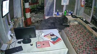 Viral Video: ముసల్దానికి పెట్టకుండా ఒక్కడివే తింటవా… మాడమీది నుంచి చరిసిన కుక్క