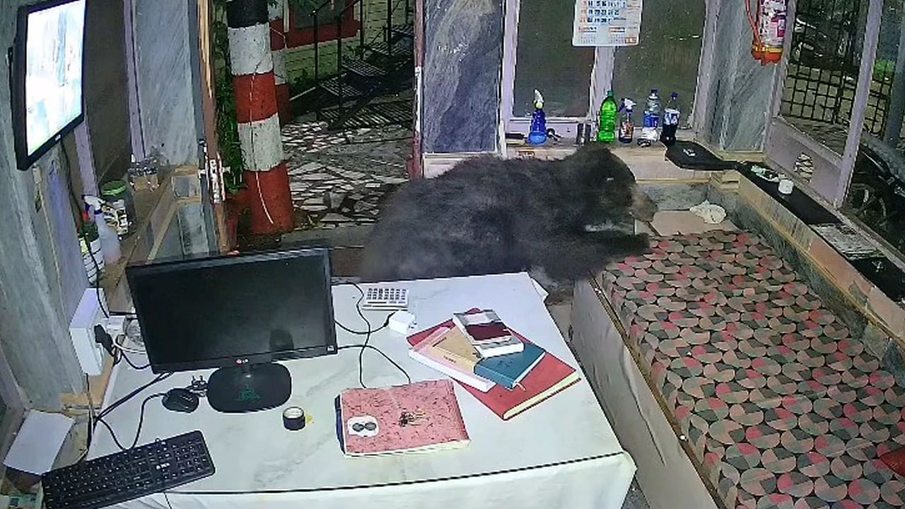 చుట్టూ సుందరమైన హిల్‌స్టేషన్‌.. అర్ధరాత్రి హోటల్‌లోకి ప్రవేశించిన నల్లటి ఆకారం..! ఆ షాకింగ్‌ దృశ్యాలు చూస్తే..