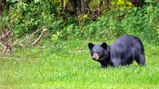Hyderabad: అనుకున్నదొక్కటి.. అయ్యిందొక్కటి.. మందుబాబులకు పెద్ద కష్టమొచ్చిందే