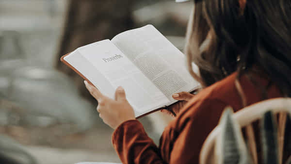 Best Time to Study: ఉదయమా.. లేట్ నైటా..? చదువుకోవడానికి ఏ సమయం మంచిది..