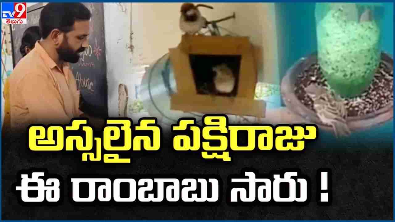 అసలైన పక్షి రాజు.. ఈ రాంబాబు మాస్టారు.. పిచ్చుకలు అంటే ఎంత ప్రేమో..!
