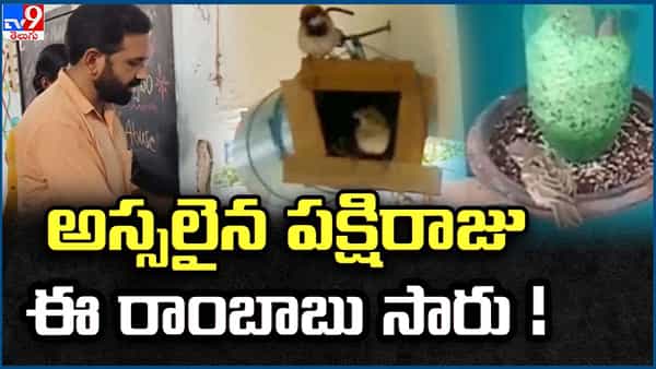 అసలైన పక్షి రాజు.. ఈ రాంబాబు మాస్టారు.. పిచ్చుకలు అంటే ఎంత ప్రేమో..!